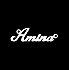Срібне кольє з ім'ям Amina