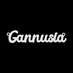 Срібне кольє з ім'ям Gannusia