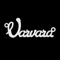 Срібне кольє з ім'ям Varvara
