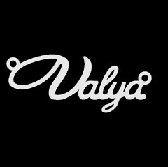 Срібне кольє з ім'ям Vladyslava